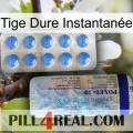 Tige Dure Instantanée 39